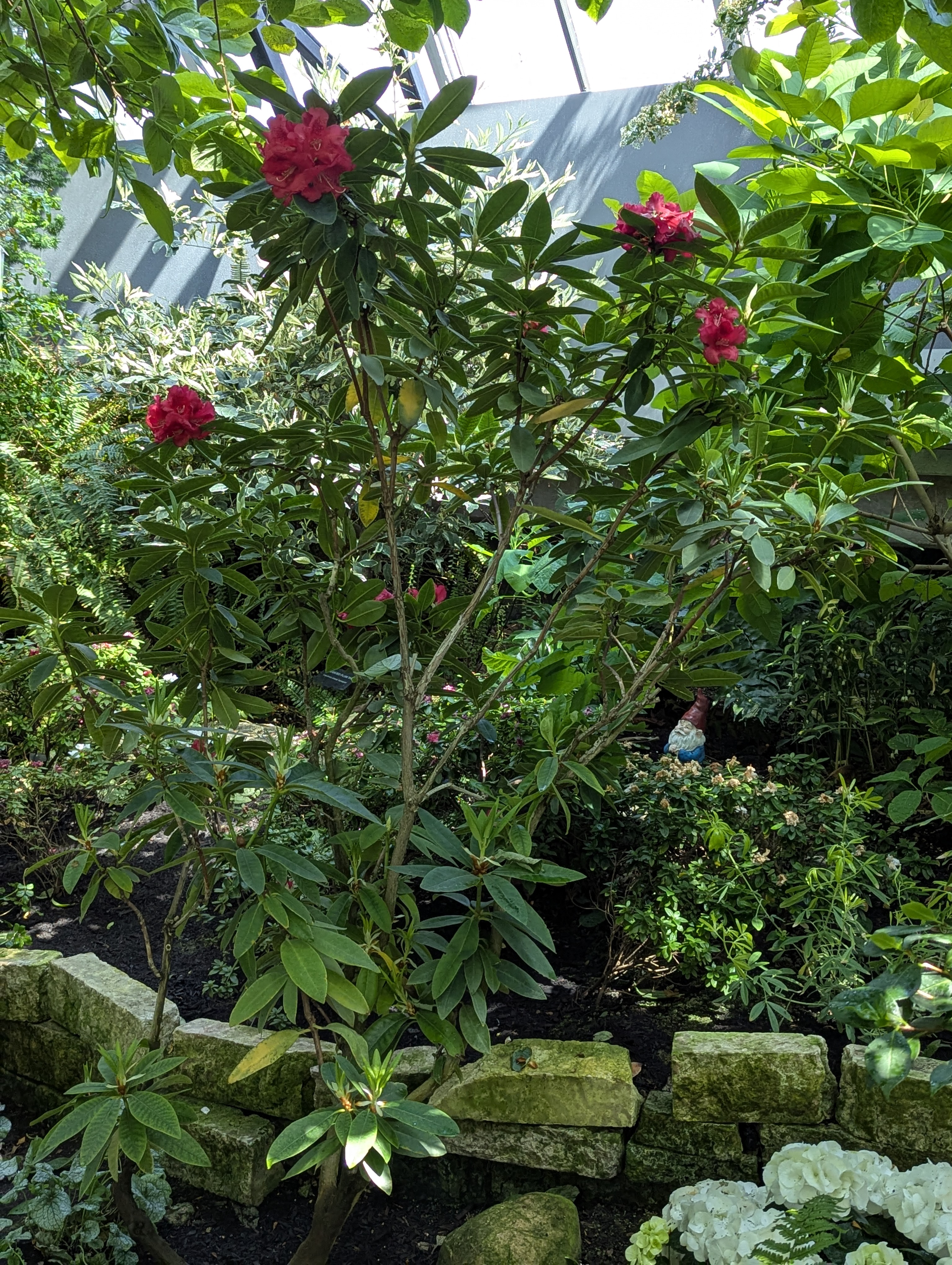 Birthday Trip to Canada, Edmonton, Pyramids, Muttart Observatory